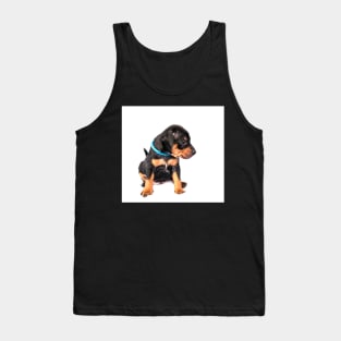 Black and tan Miniature Pinscher puppy at white background Tank Top